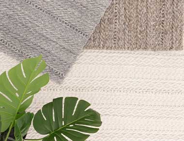All Rugs